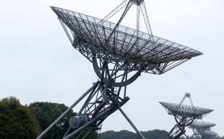 Telecom in 2025: Accelerating Connectivity, Innovation, and Digital Inclusion